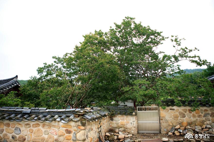 사는이야기 - 마지막 뜨거운 열정 충곡서원의 두 얼굴 - 충청남도 마지막 뜨거운 열정 충곡서원의 두 얼굴