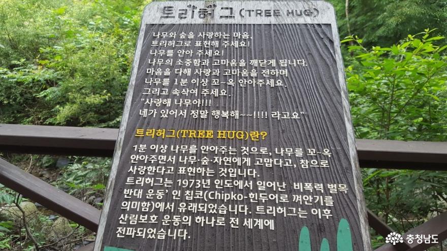 충남 보령 성주산 편백나무숲이 새로워졌어요! 사진