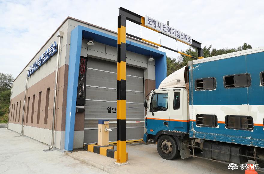 국내 최대축산단지 충남 돼지열병 차단 총력 1