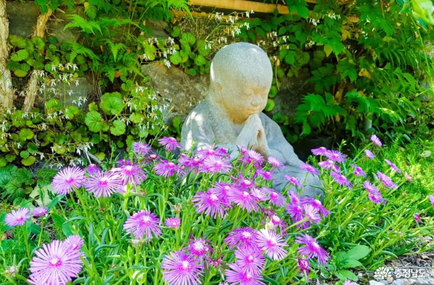 가을 낭만 가득한 아산 강당골 계곡과 봉곡사 천년의 숲길을 걸어보다! 15