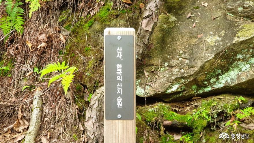 산사, 한국의 산지 승원