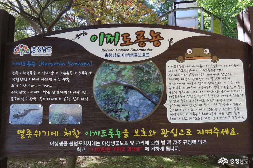 대둔산 도립공원 자연생태 안내자료