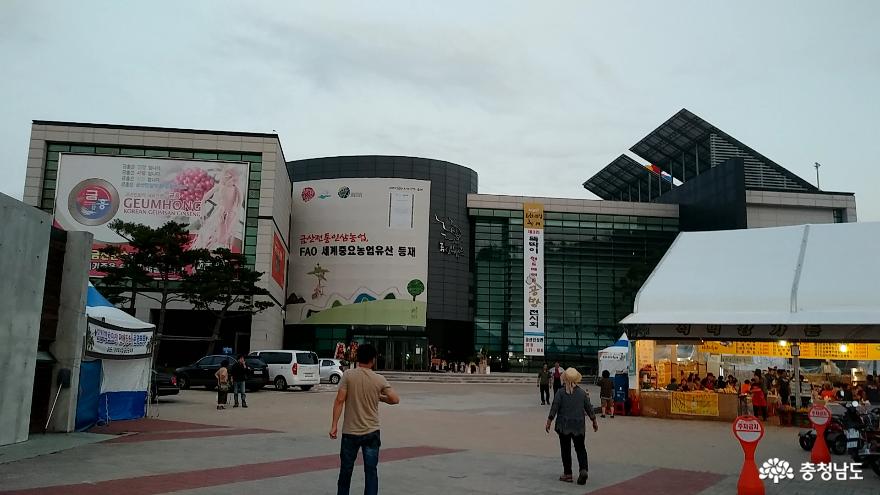 금산인삼, 천오백년의 가치를 담다! 7