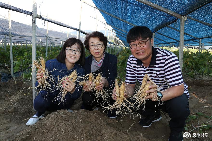 금산인삼, 천오백년의 가치를 담다! 11
