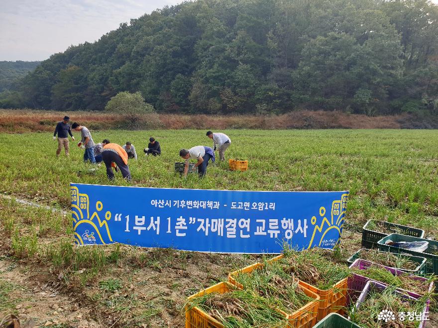 아산시 기후변화대책과, 1부서 1촌 자매결연 농촌일손돕기 1