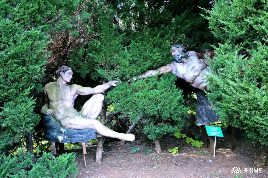 뮬리와 팜파스의 이색적인 테마정원, 태안 청산수목원 사진