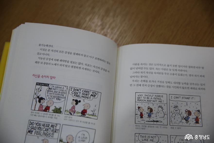 쉬면서 책도 읽을 수 있는 금산 인삼휴게소 7