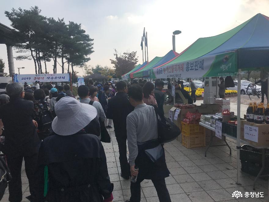 천주교의 성지 홍성군, 지난 주말 순례객 850명 찾아 6