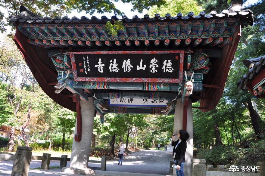 가을빛 내려앉은 수덕사에서 1