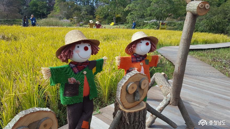 꿈의 천리포수목원에 다녀오다 6