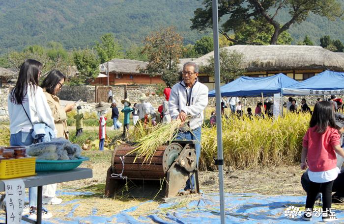  20일 아산 외암리민속마을에서 열리고 있는 짚풀문화제 현장에서 마을 주민이 관광객들을 대상으로 벼이삭털기 시범을 보여주고 있다.