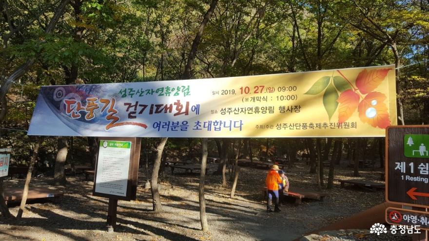 성주산 단풍길 걷기대회 현수막