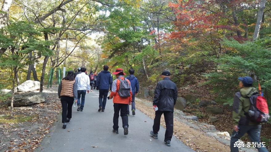 관광객을 보듬는 성주산 단풍길 걷기대회 3