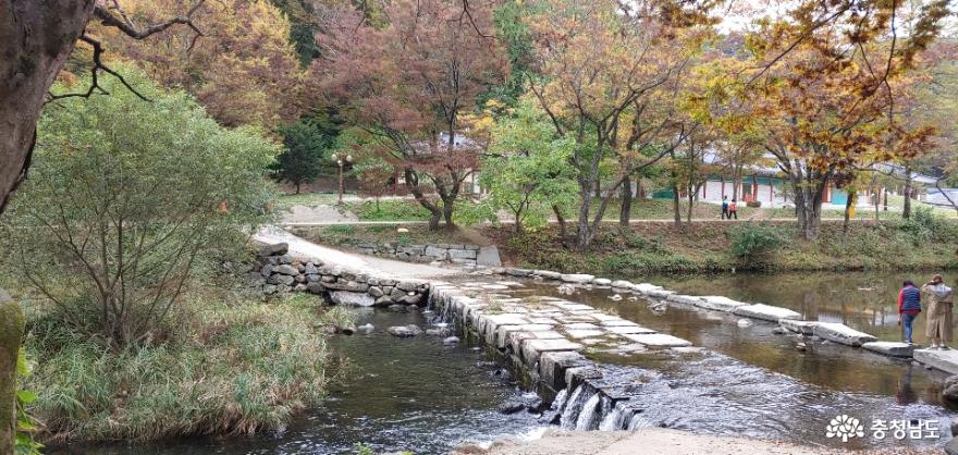 꾸미지 않은 듯 꾸민 공주 마곡사의 가을 사진