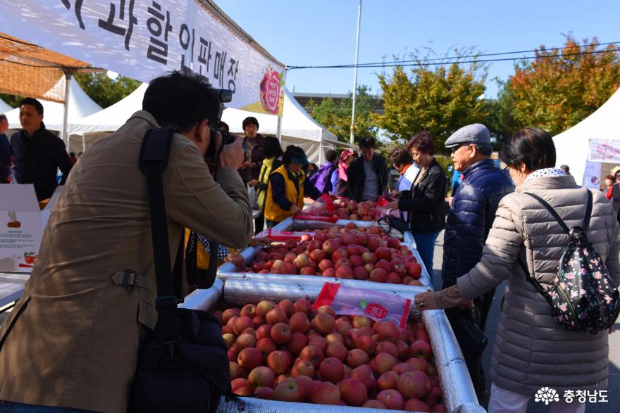 특선사과판매