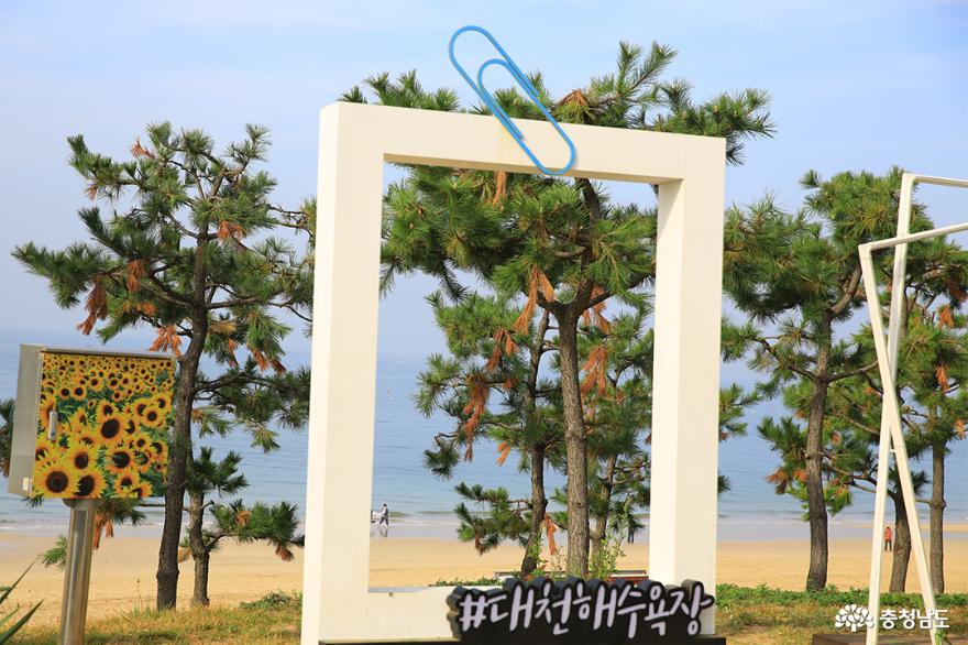 보령 2경 대천해수욕장 지역 특산물을 활용한 '김축제' 사진