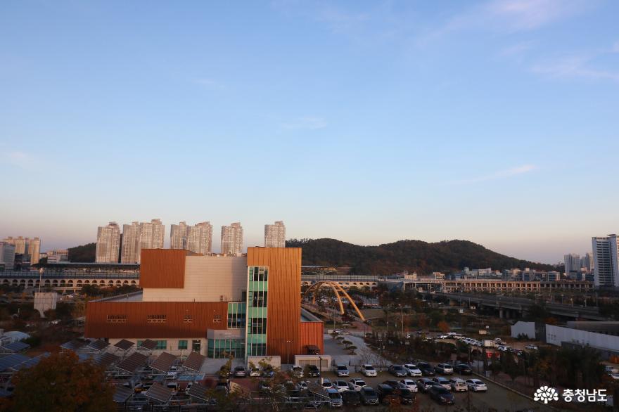 때론 은빛, 때론 금빛으로 물들어가는 억새의 향연! 2