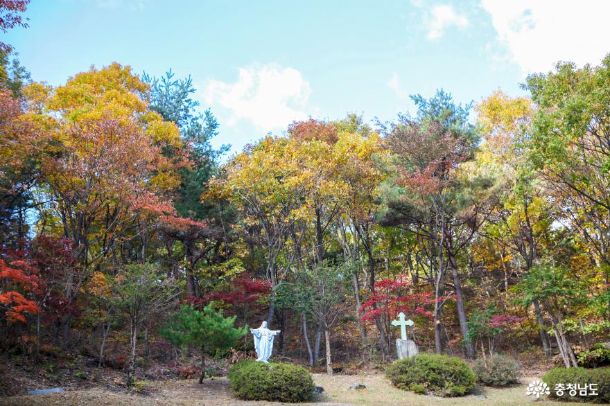 가을빛으로 곱게 물든 천안 성거산 성지둘레길을 걸으며 힐링해요! 8