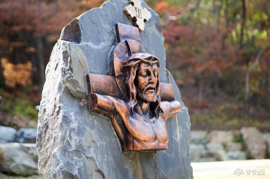 가을빛으로 곱게 물든 천안 성거산 성지둘레길을 걸으며 힐링해요! 13