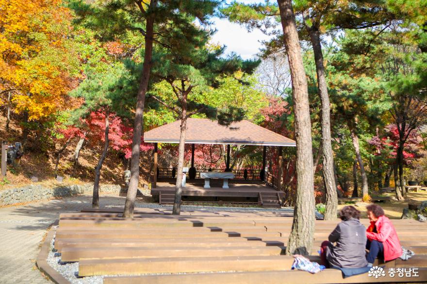 가을빛으로 곱게 물든 천안 성거산 성지둘레길을 걸으며 힐링해요! 18