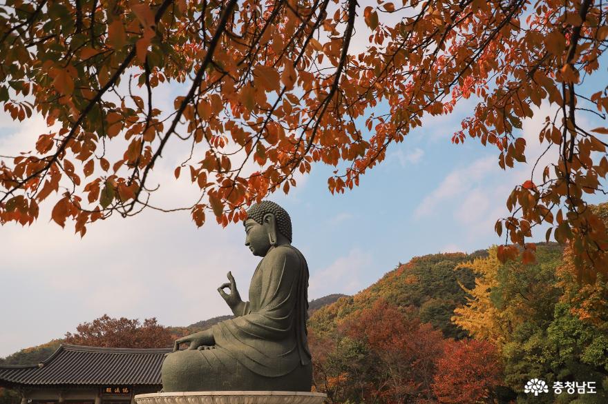 만추 각원사의 풍경 사진