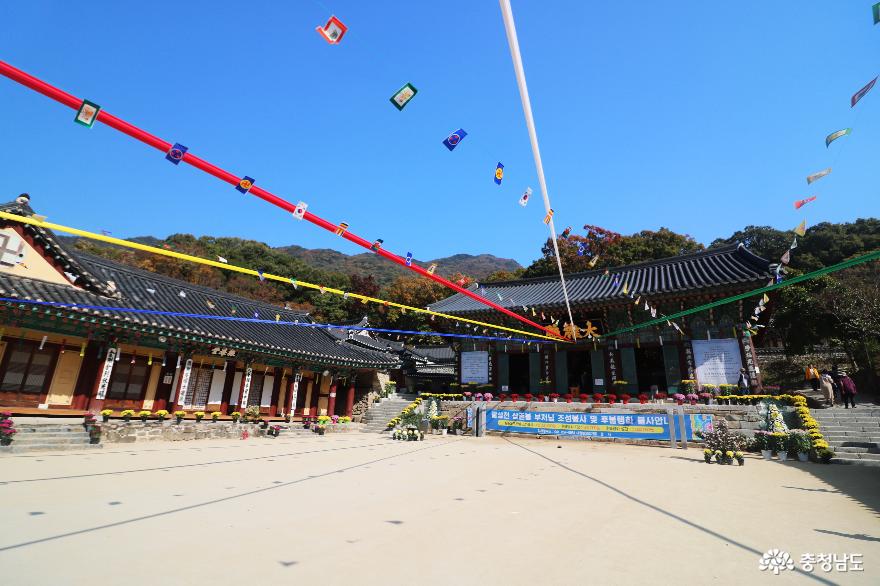 천년고찰 갑사에서 만난 진귀한 보물들과 맑고 깨끗한 자연 풍경 5