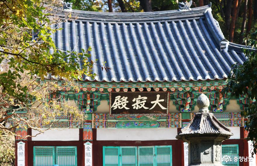 천년고찰 갑사에서 만난 진귀한 보물들과 맑고 깨끗한 자연 풍경 11