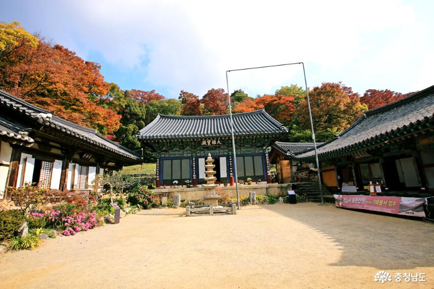 서산 가을여행 마음을 씻으며 오르는 개심사의 가을 사진