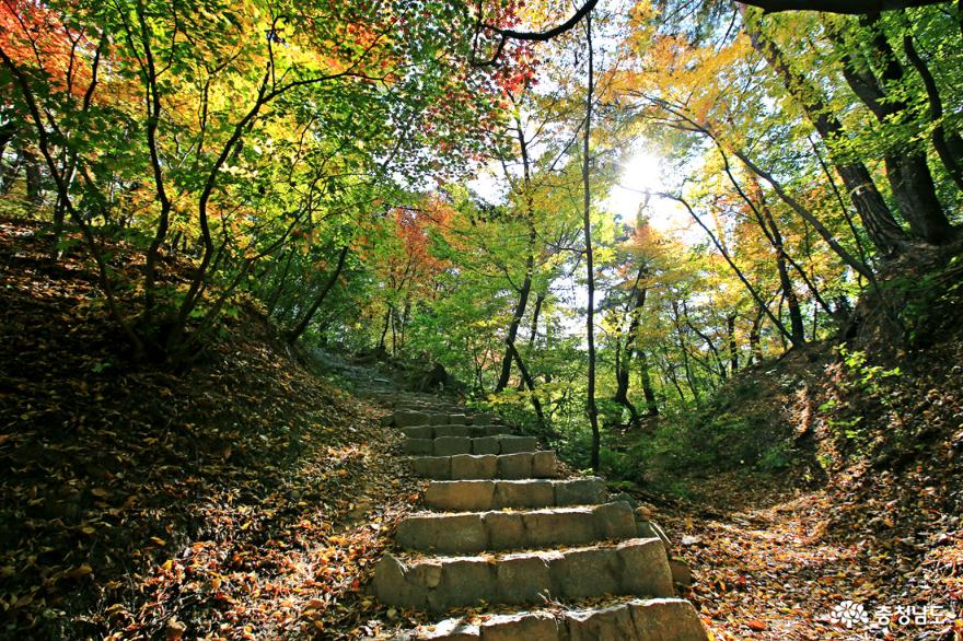 서산 가을여행 마음을 씻으며 오르는 개심사의 가을 사진