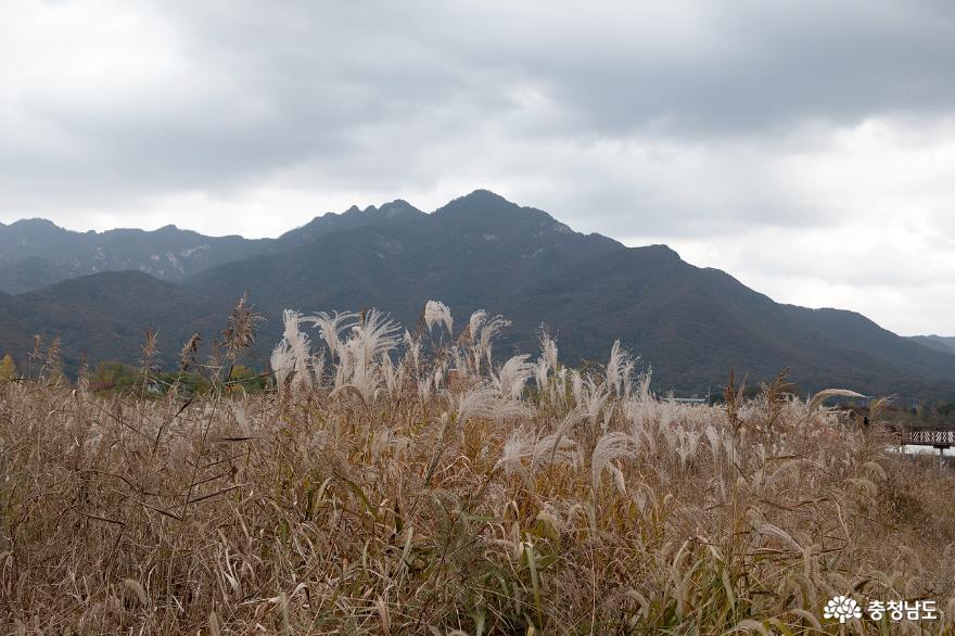 계룡산국립공원 갑사 가는 길의 아름다운 단풍 사진