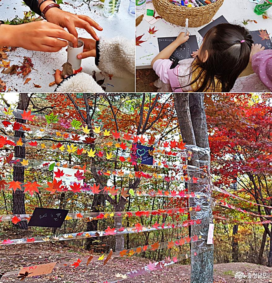가을정취물씬만추가경느끼기충만했던단풍나무숲길힐링축제 7