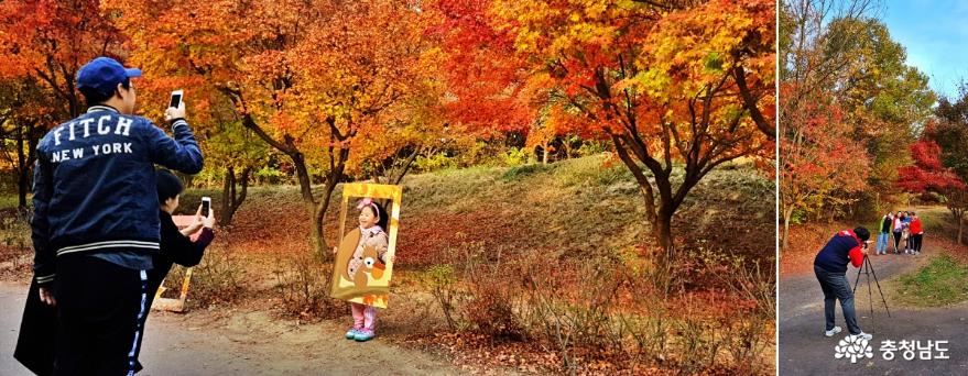 가을정취물씬만추가경느끼기충만했던단풍나무숲길힐링축제 10