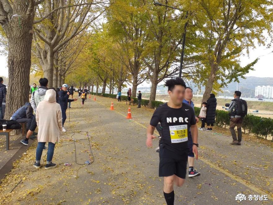 아산은행나무길 마라톤대회 3