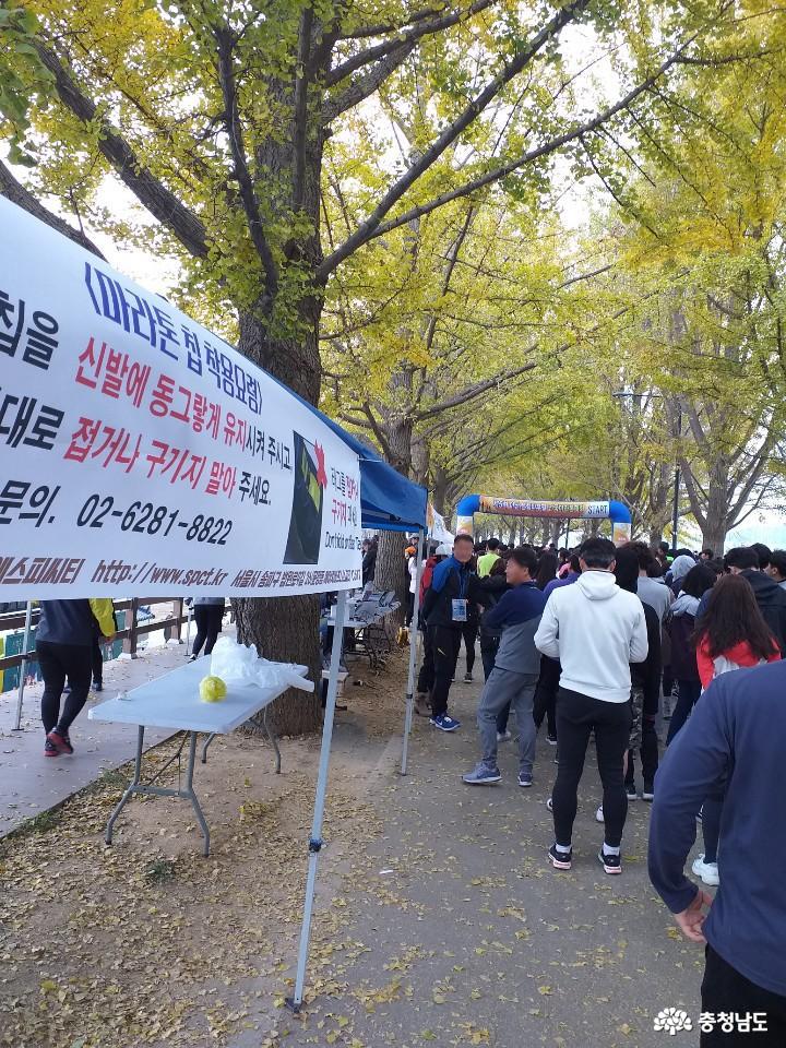 아산은행나무길 마라톤대회 7