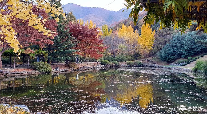 '그래, 가을이야'… 기대 이상의 아름다움과 여유