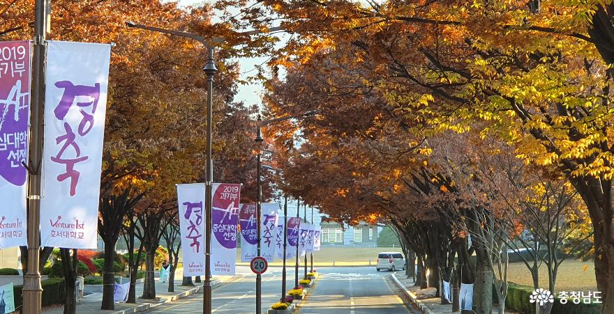 호서대학교 진입로 가로수길.