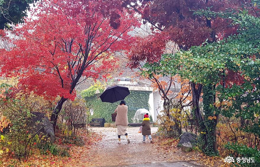 비오는 가을날의 수채화 당진 ‘아미미술관’
