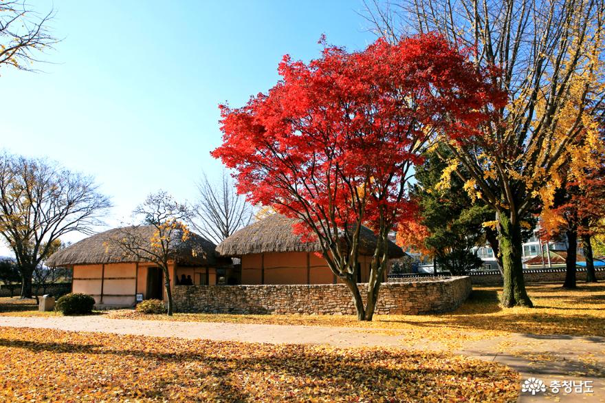 만추의 계절, 예산 가볼만한곳 윤봉길의사 유적 사진