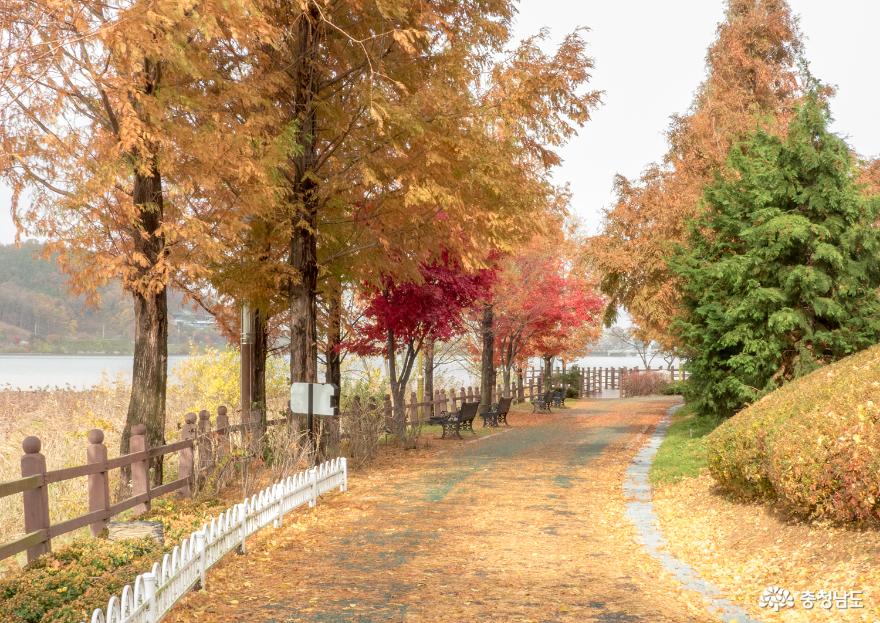 아산 신정호의 늦은 가을풍경 사진