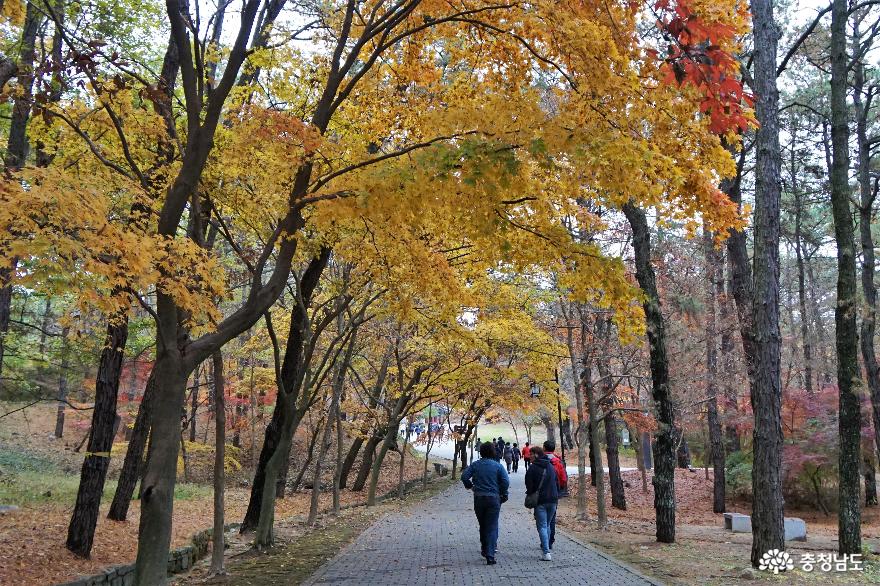 백제의왕도부여부소산성여행 4