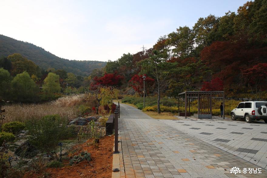 늦가을 보령 무궁화수목원의 색채가 좋습니다 사진