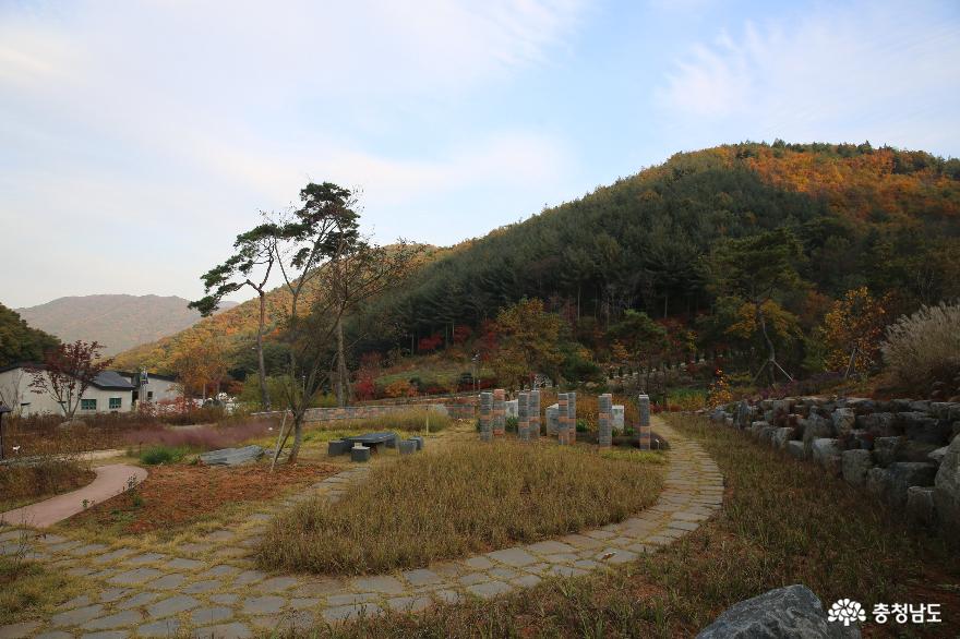 늦가을 보령 무궁화수목원의 색채가 좋습니다 사진