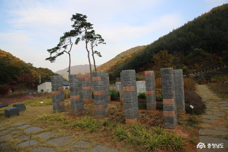 늦가을 보령 무궁화수목원의 색채가 좋습니다 사진