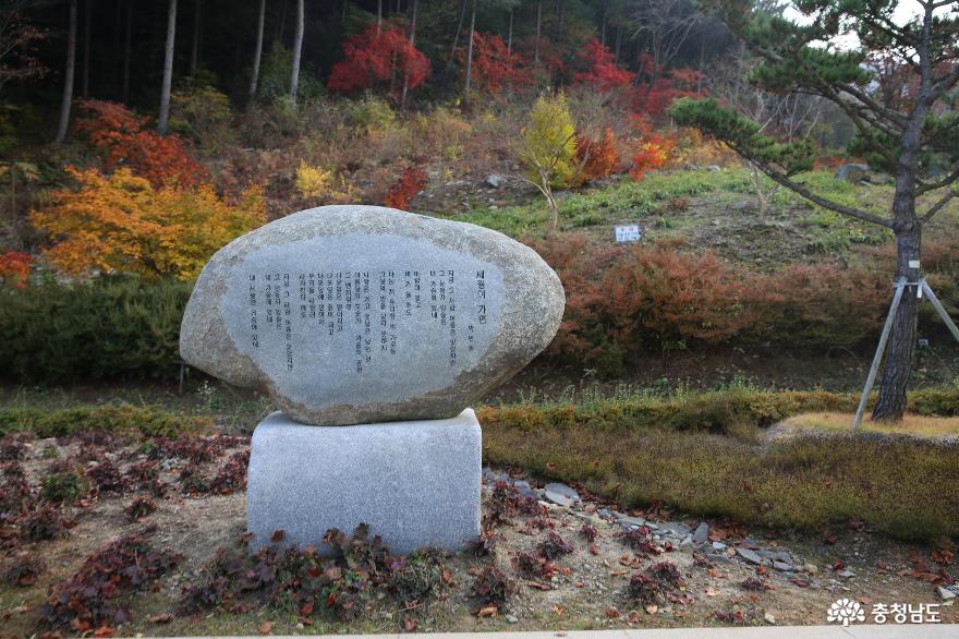 늦가을 보령 무궁화수목원의 색채가 좋습니다 사진