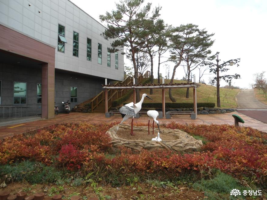 자연과 인간이 공존하는 황새들의 천국 <예산 황새공원> 1