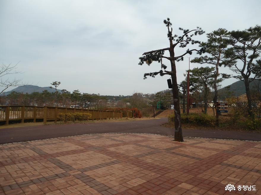 자연과 인간이 공존하는 황새들의 천국 <예산 황새공원> 34