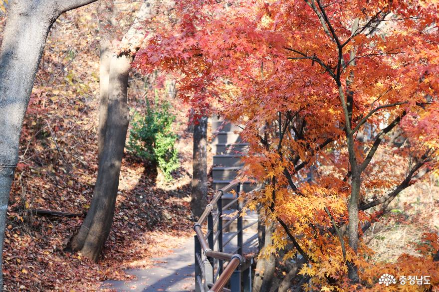 역사적으로 유래깊은 천안 남산공원을 거닐다 사진