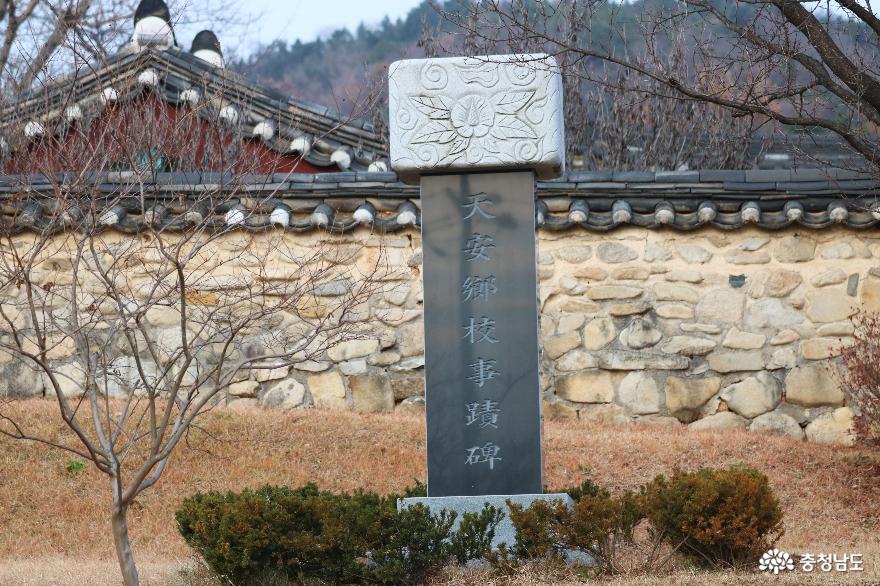 천안향교520년이상된탱자나무와함께오랜전통의맥을잇고있는 4