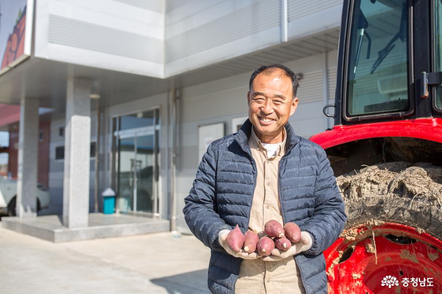 상월고구마영농조합법인 유경업 대표