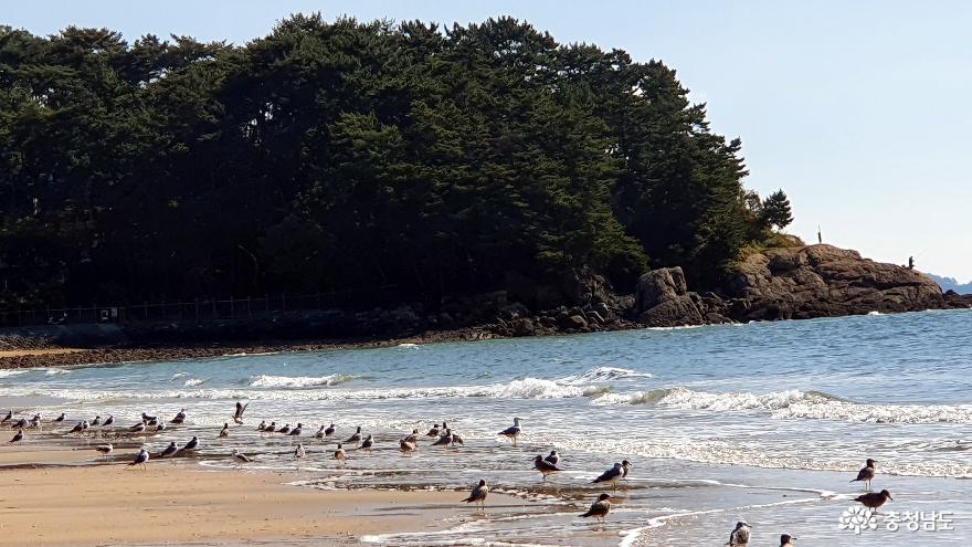 대천해수욕장 겨울바다 전경2